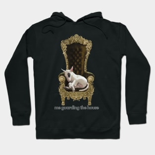 sleeping dog, bullterrier, funny dog, Hoodie